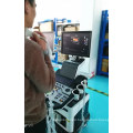 Trolley Color 3D/4D Doppler Human Pregnancy Ultrasound Machine